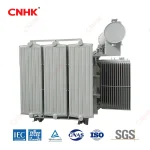 Large Three Phase Oil immersed Distribution Transformer