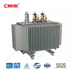 Medium Three Phase Oil Immersed Distribution Transformer